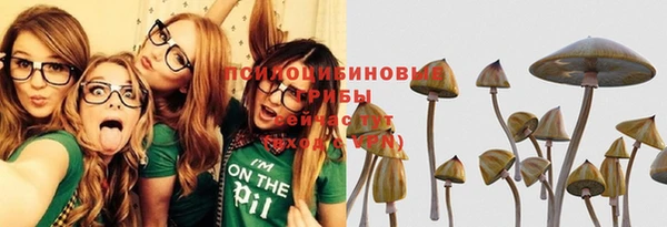 прущие грибы Алексеевка