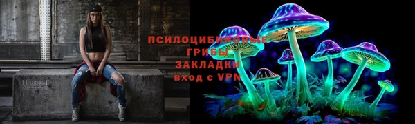 бошки Алексин