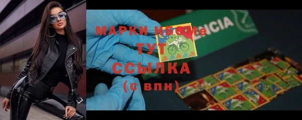 бошки Алексин