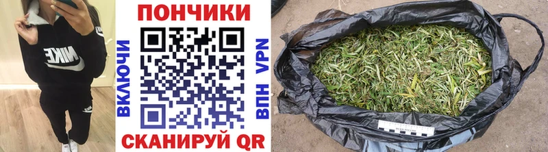 блэк спрут ССЫЛКА Каргат Бошки марихуана планчик